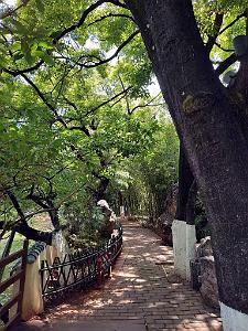 Kunming - Parc Cuihu - 39